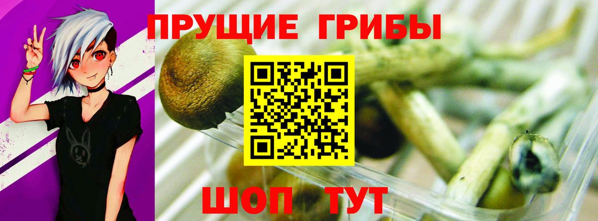 Белебей  Псилоцибиновые грибы Cubensis  Вход с VPN  Галлюциногенные грибы прущие грибы 